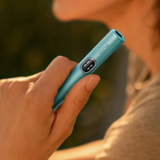 Лучшие способы хранения стиков Terea для IQOS ILUMA в Москве